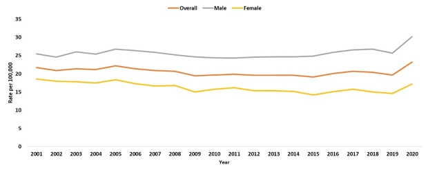 Age-Adjusted Deaths from Diabetes, Rate per 100,000 Population, Single Year