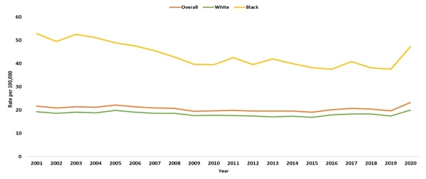 Age-Adjusted Deaths from Diabetes, Rate per 100,000 Population, Single Year