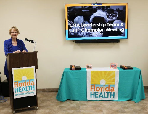 DOH-Okaloosa Presents 2019 CHA Update Draft