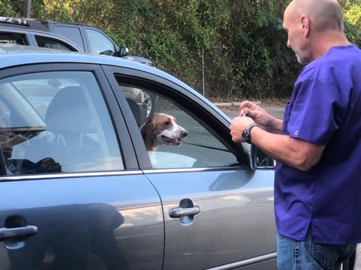 Pets Drive Through to Prevent Rabies